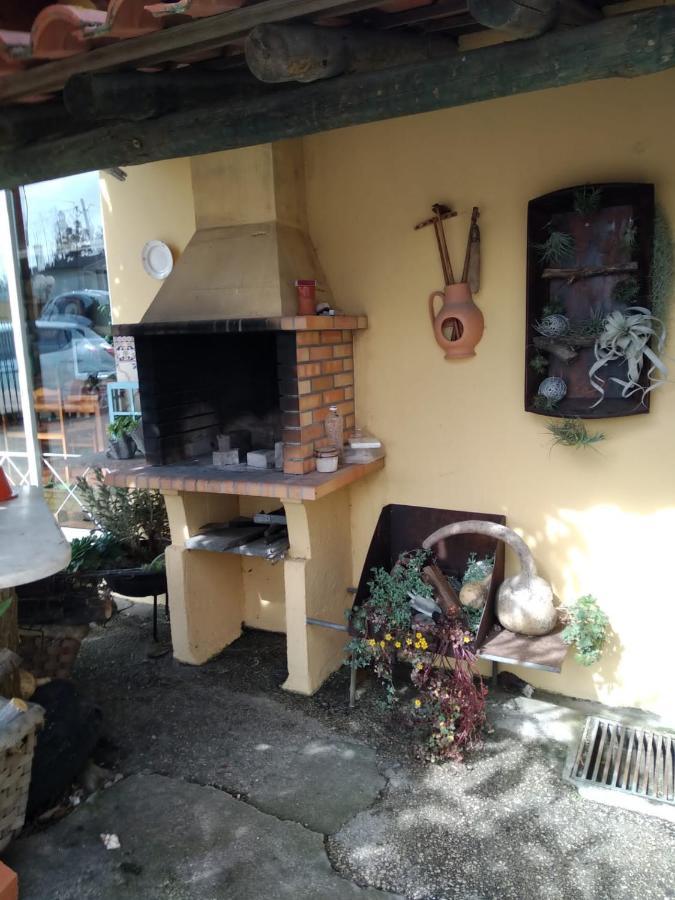 Your Home Eco & Natur Carvide Ngoại thất bức ảnh